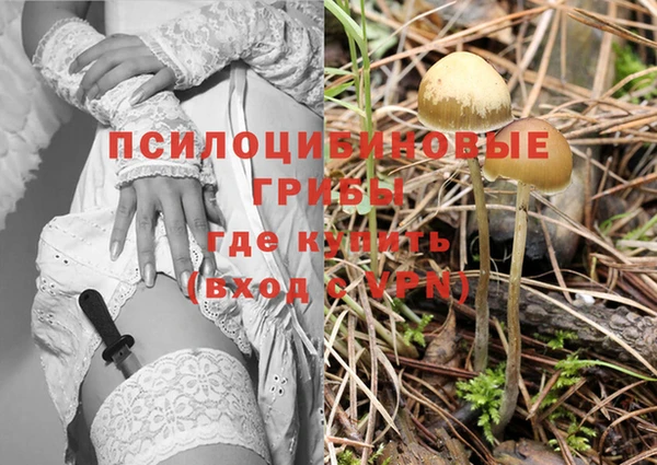 герыч Покровск