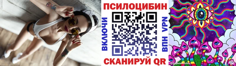 Галлюциногенные грибы Cubensis  Купить закладки  Йошкар-Ола 